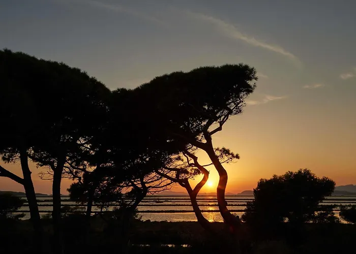 Hotell Ibis Budget Hyères